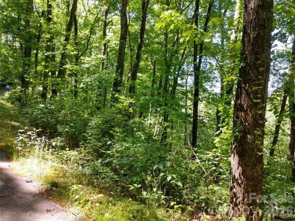 00 Hudson Valley Drive #11 Waynesville, NC 28786