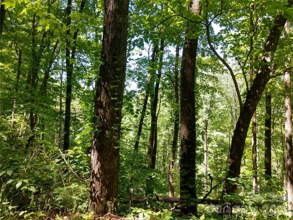 00 Hudson Valley Drive #11 Waynesville, NC 28786