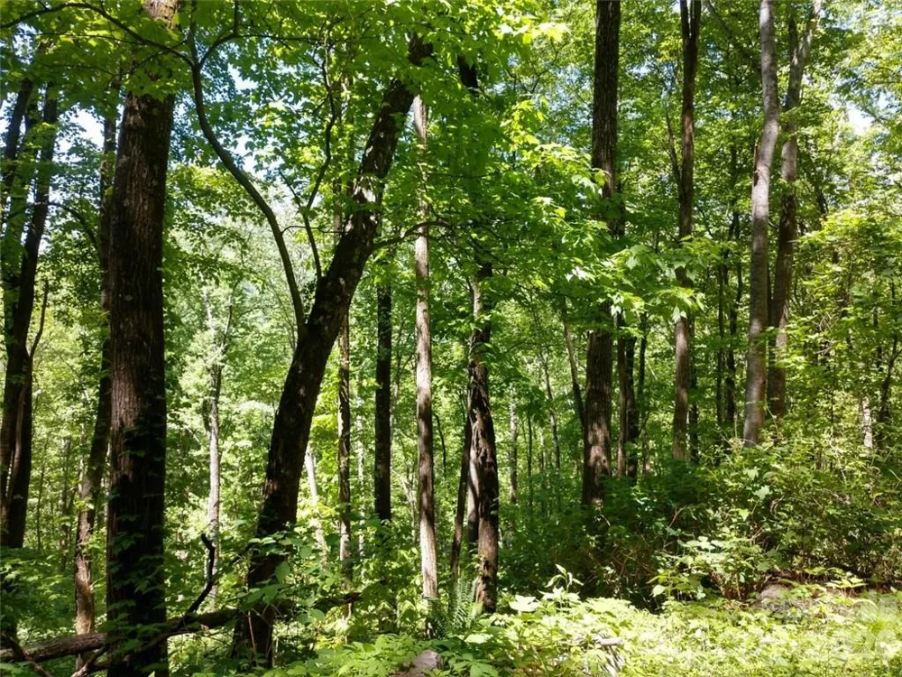 00 Hudson Valley Drive #11 Waynesville, NC 28786