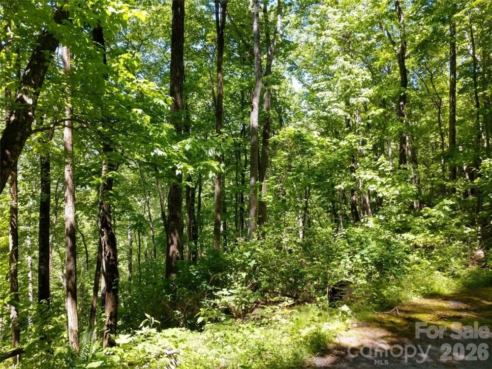 00 Hudson Valley Drive #11 Waynesville, NC 28786