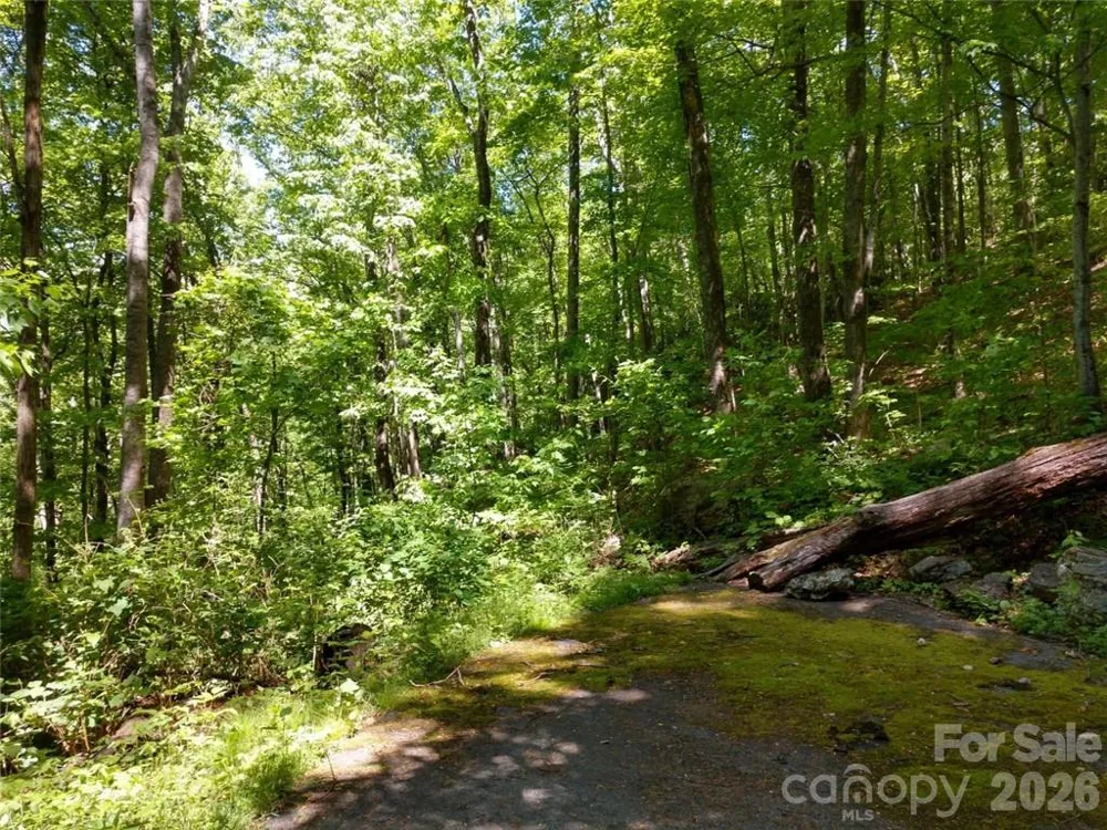 00 Hudson Valley Drive #11 Waynesville, NC 28786