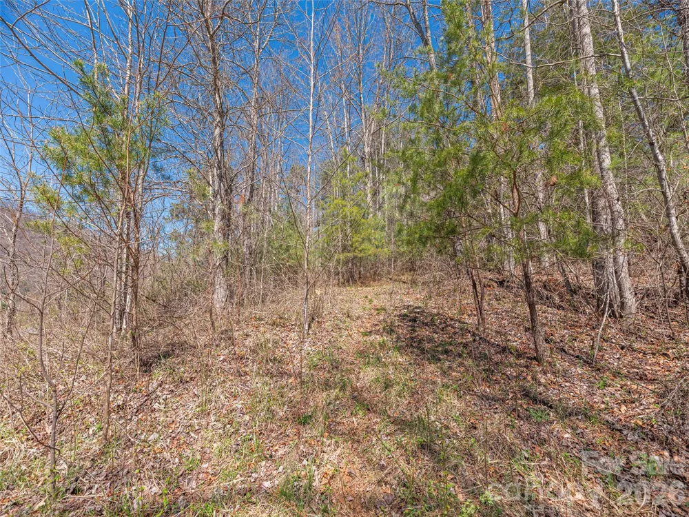 00 Worley Cove Road Marshall, NC 28753