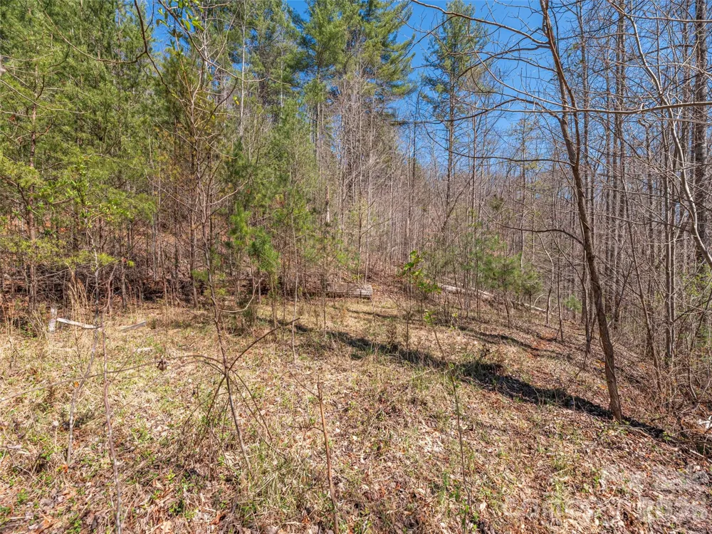 00 Worley Cove Road Marshall, NC 28753