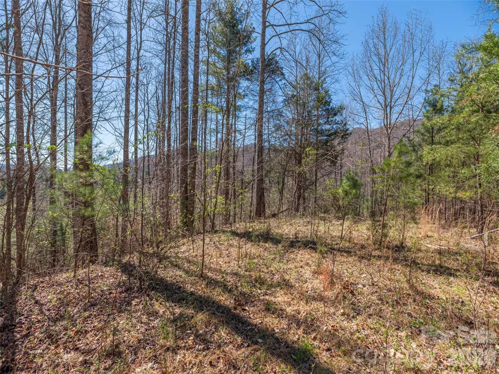 00 Worley Cove Road Marshall, NC 28753