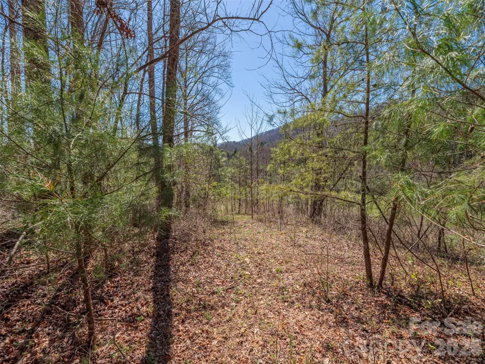 00 Worley Cove Road Marshall, NC 28753