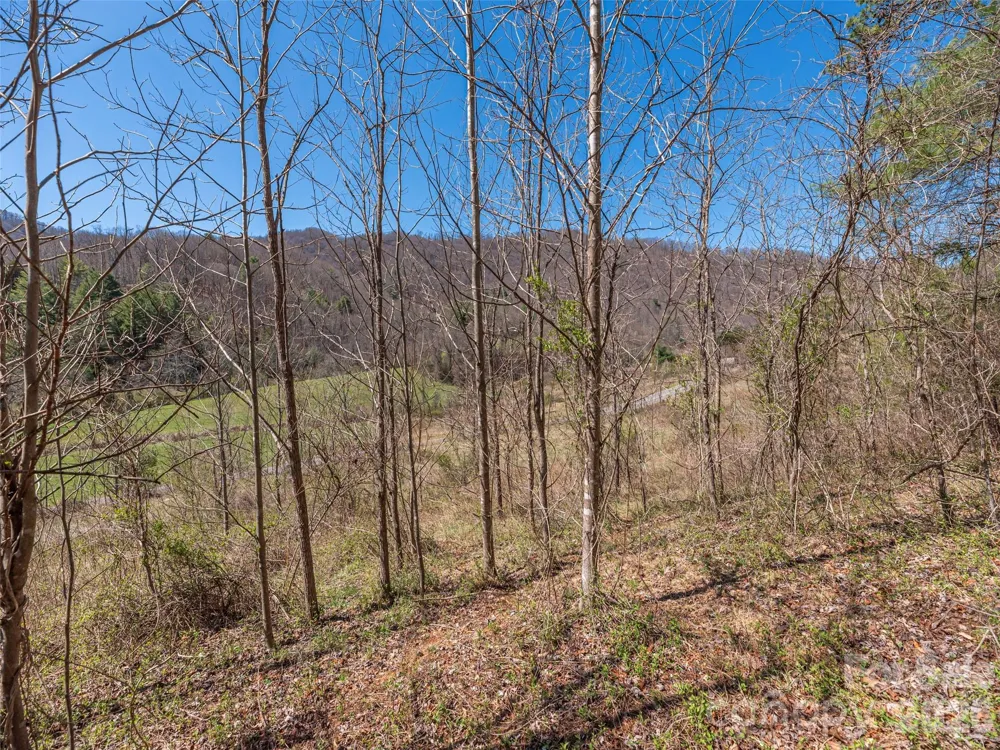 00 Worley Cove Road Marshall, NC 28753
