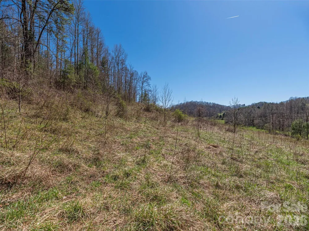 00 Worley Cove Road Marshall, NC 28753
