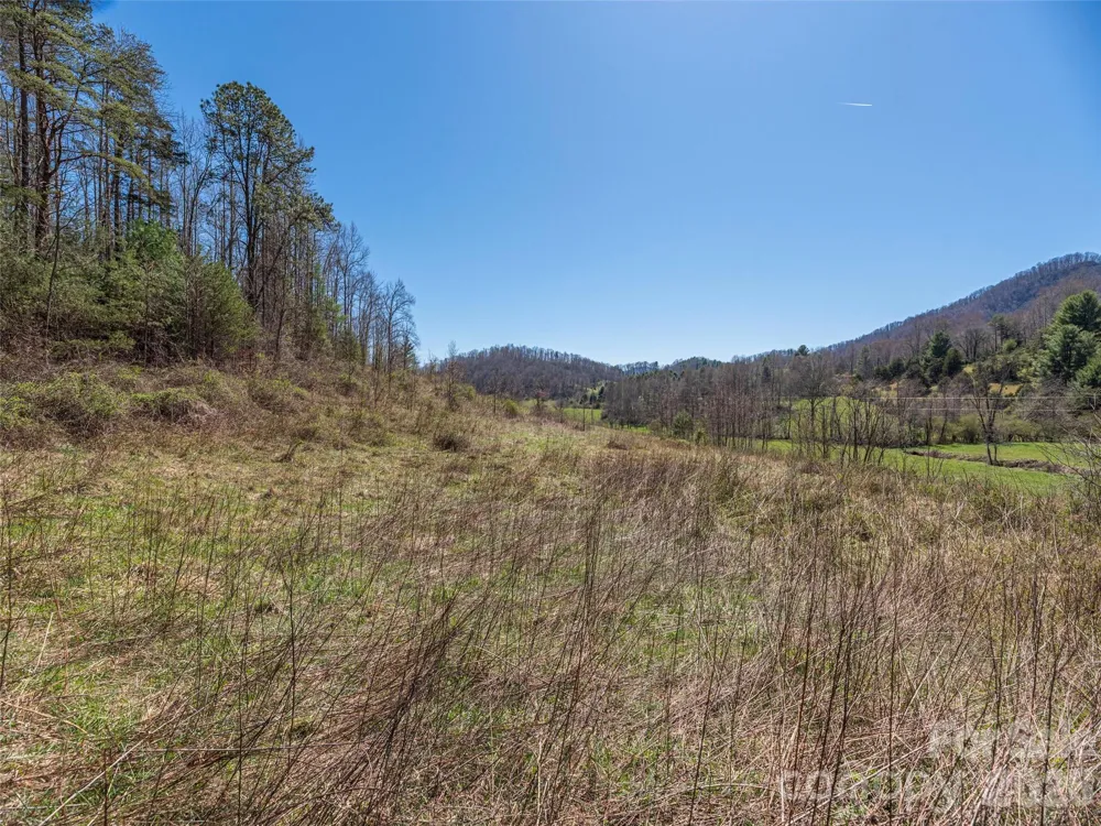 00 Worley Cove Road Marshall, NC 28753