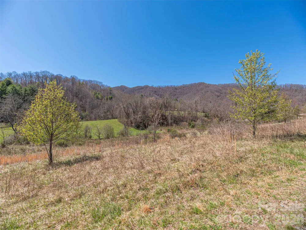 00 Worley Cove Road Marshall, NC 28753