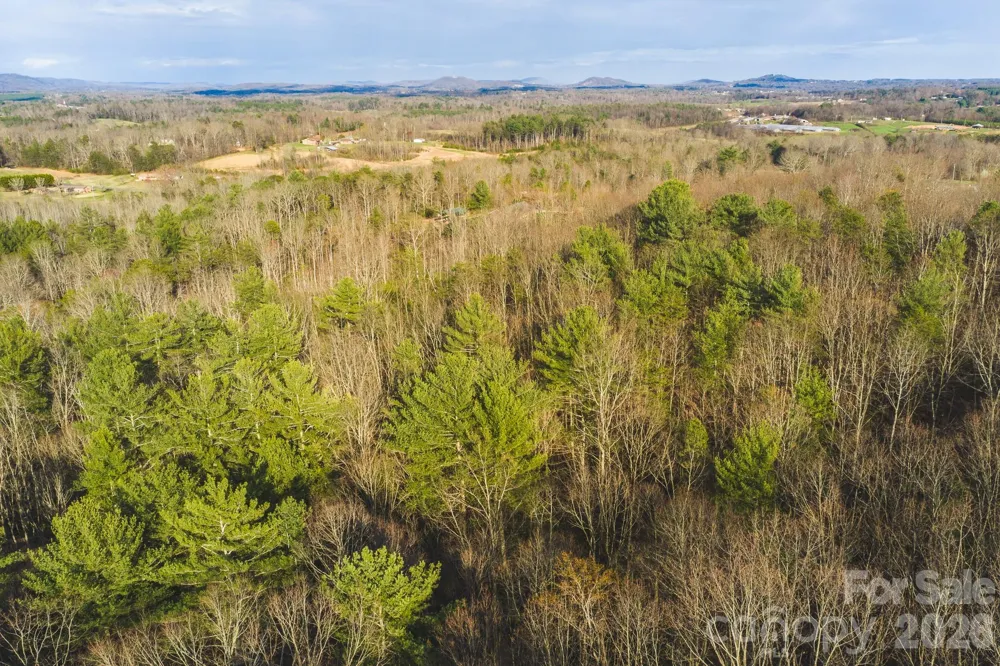 Tract 4 All Healing Springs Road #1 Taylorsville, NC 28681