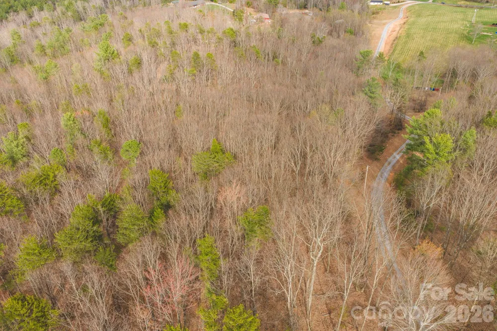 Tract 4 All Healing Springs Road #1 Taylorsville, NC 28681