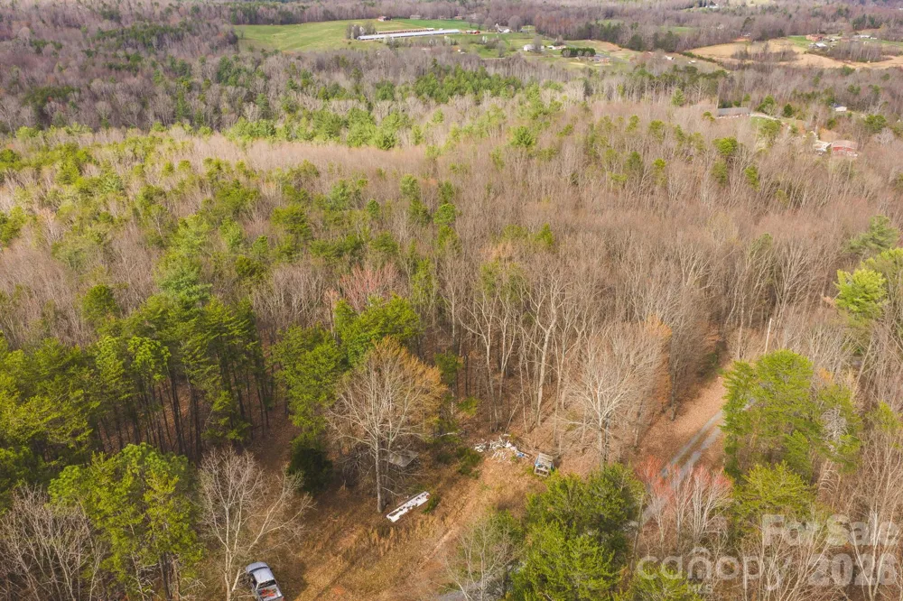 Tract 4 All Healing Springs Road #1 Taylorsville, NC 28681