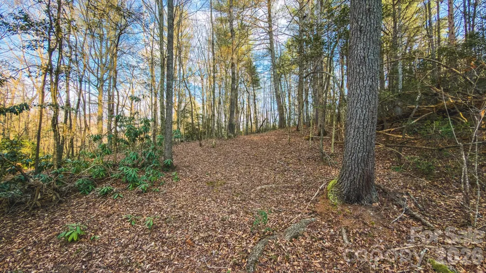 Tract 4 All Healing Springs Road #1 Taylorsville, NC 28681