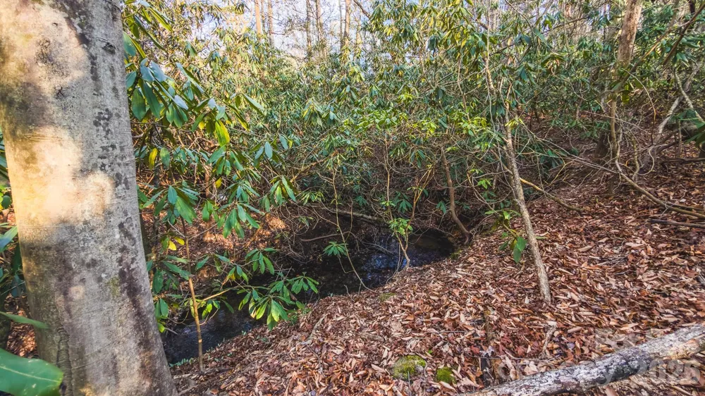 Tract 4 All Healing Springs Road #1 Taylorsville, NC 28681