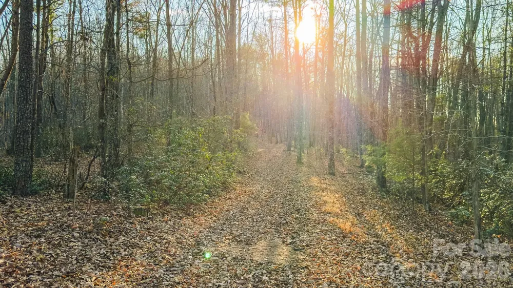 Tract 4 All Healing Springs Road #1 Taylorsville, NC 28681