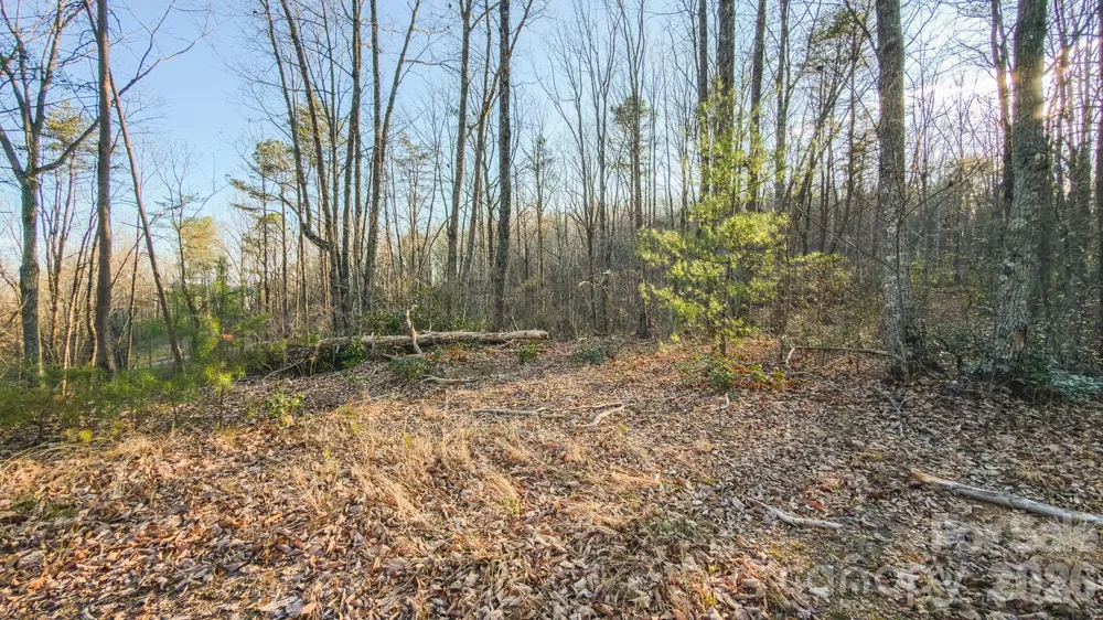 Tract 4 All Healing Springs Road #1 Taylorsville, NC 28681