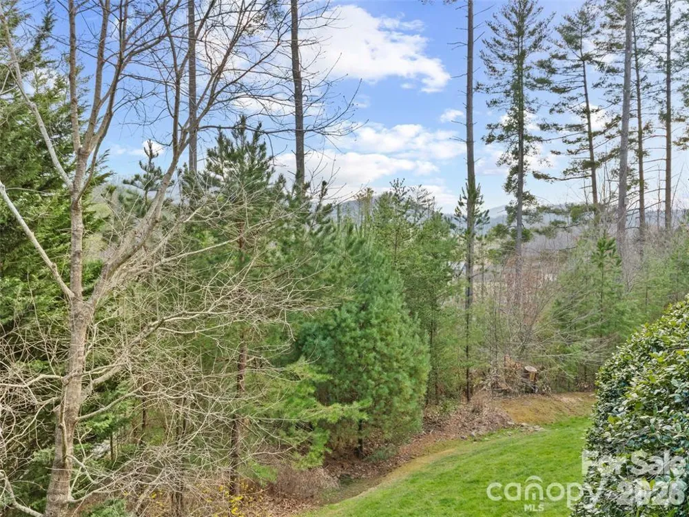 22 S Kaufman Stone Way Biltmore Lake, NC 28715