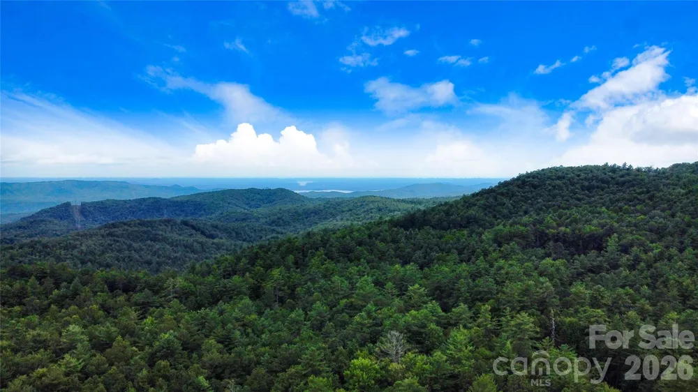 121 Toxaway Views Drive #503 Lake Toxaway, NC 28747