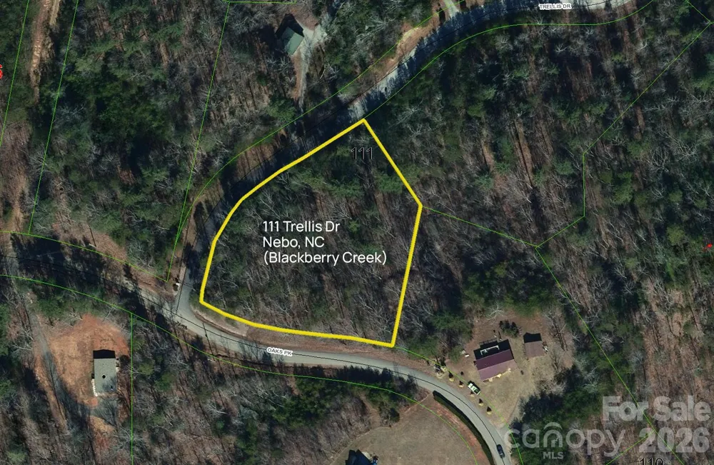Lot 111 Trellis Drive Nebo, NC 28761