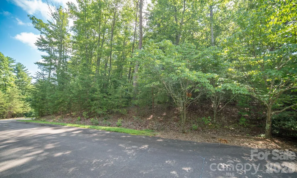 Lot 111 Trellis Drive Nebo, NC 28761