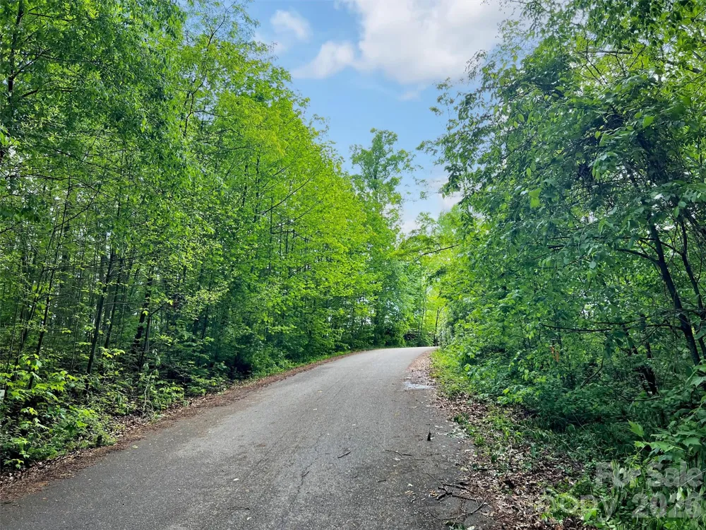L# 102 Hoosier Court #102 Lake Junaluska, NC 28745