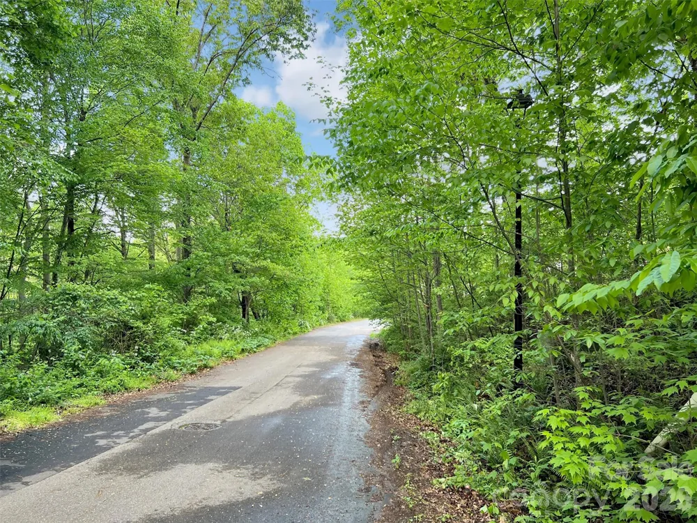 L# 102 Hoosier Court #102 Lake Junaluska, NC 28745