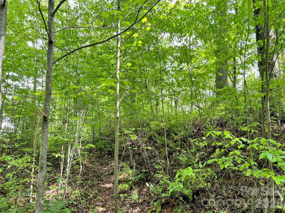 L# 102 Hoosier Court #102 Lake Junaluska, NC 28745