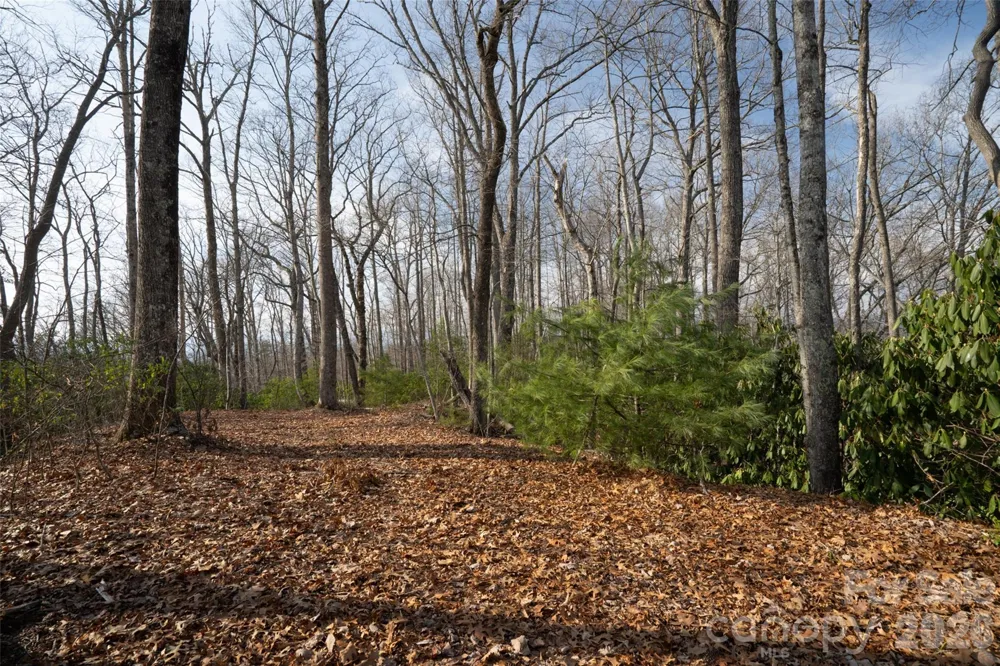 29 Open Ridge Trail Pisgah Forest, NC 28768
