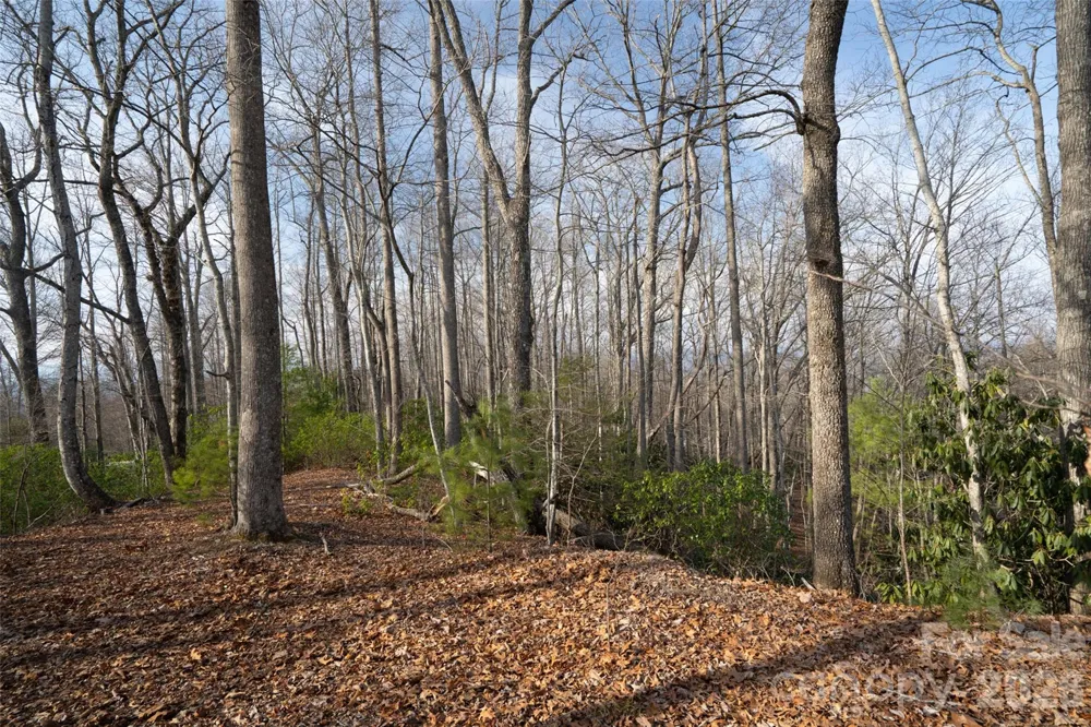29 Open Ridge Trail Pisgah Forest, NC 28768