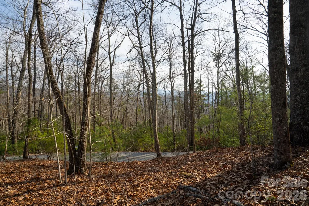 29 Open Ridge Trail Pisgah Forest, NC 28768