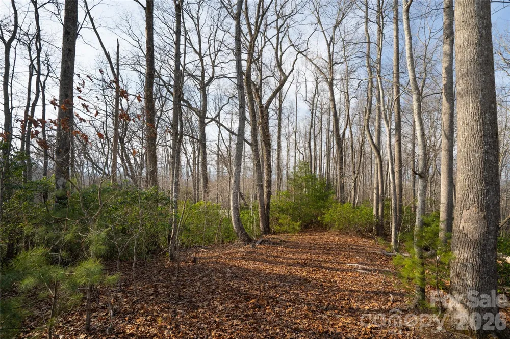 29 Open Ridge Trail Pisgah Forest, NC 28768