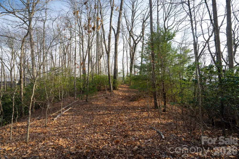 29 Open Ridge Trail Pisgah Forest, NC 28768