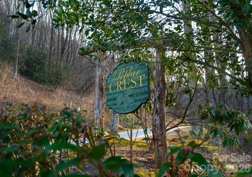29 Open Ridge Trail Pisgah Forest, NC 28768
