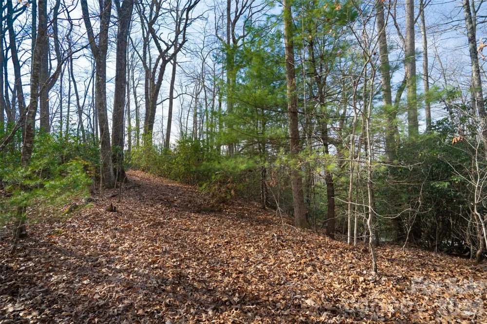 29 Open Ridge Trail Pisgah Forest, NC 28768