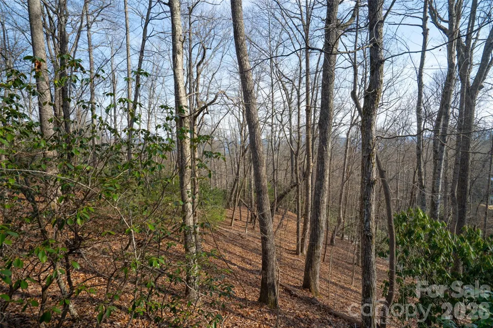 29 Open Ridge Trail Pisgah Forest, NC 28768