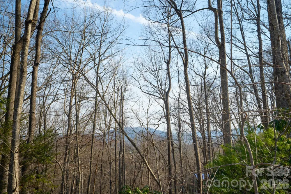 29 Open Ridge Trail Pisgah Forest, NC 28768