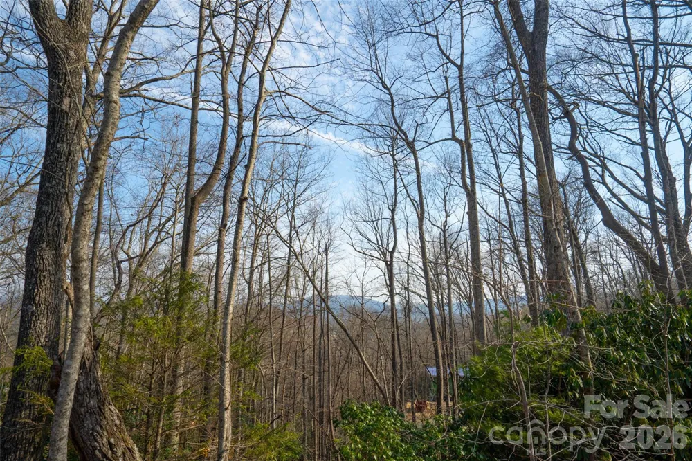 29 Open Ridge Trail Pisgah Forest, NC 28768