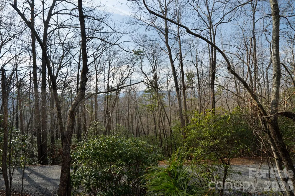 29 Open Ridge Trail Pisgah Forest, NC 28768