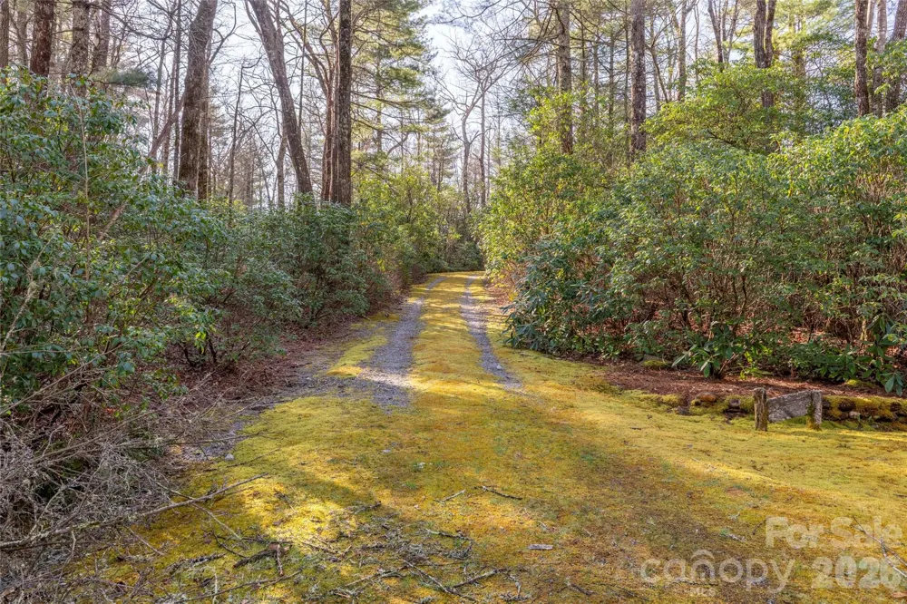 TRP 1 Cardinal Drive W Lake Toxaway, NC 28747