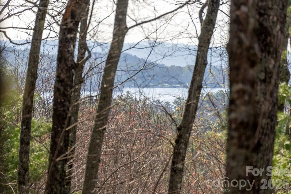 TRP 1 Cardinal Drive W Lake Toxaway, NC 28747