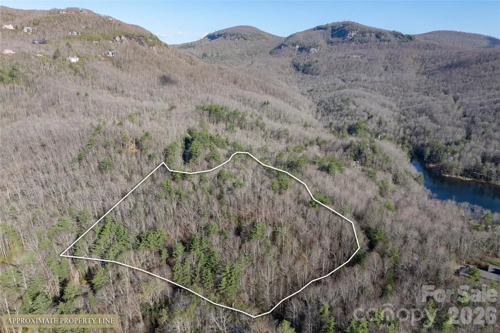 TRP 1 Cardinal Drive W Lake Toxaway, NC 28747