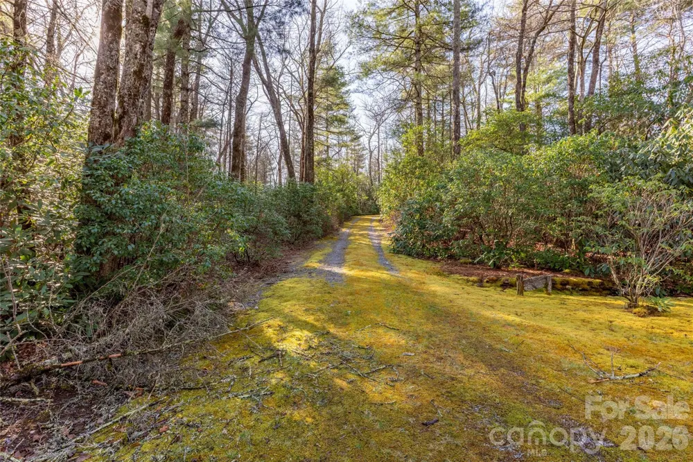 TRP 1 Cardinal Drive W Lake Toxaway, NC 28747