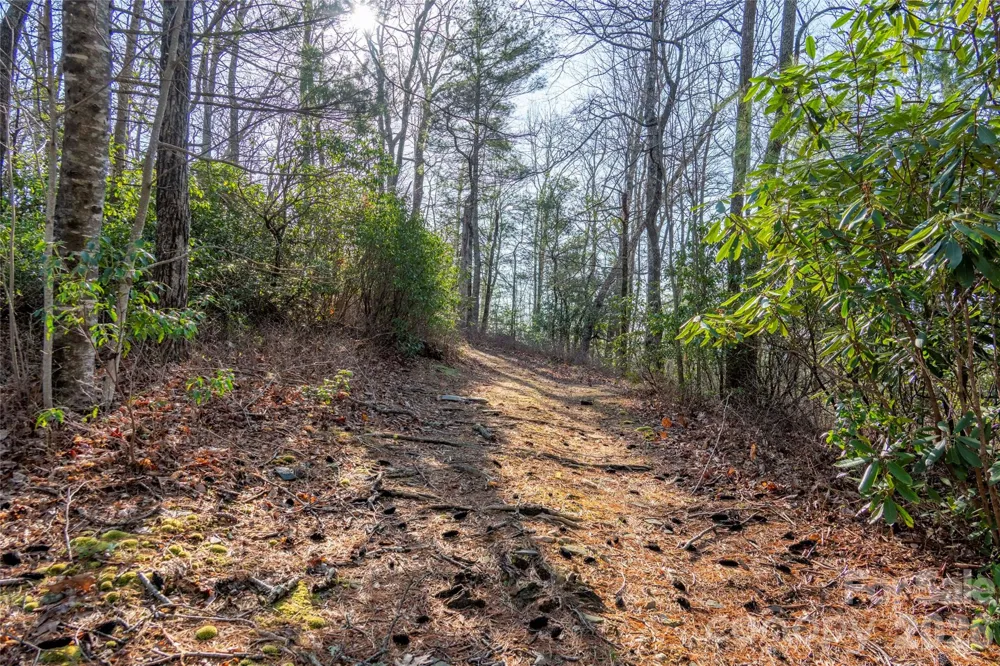 TRP 1 Cardinal Drive W Lake Toxaway, NC 28747