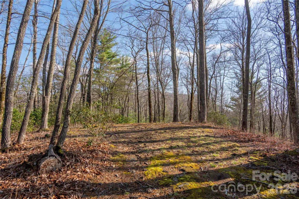 TRP 1 Cardinal Drive W Lake Toxaway, NC 28747