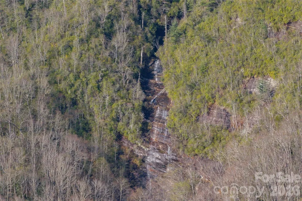 TRP 1 Cardinal Drive W Lake Toxaway, NC 28747