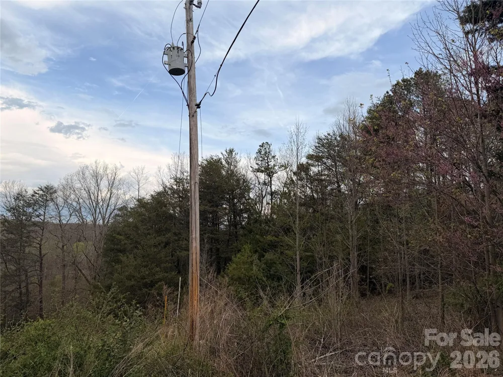 7557 Cowtail Lane Connelly Springs, NC 28612
