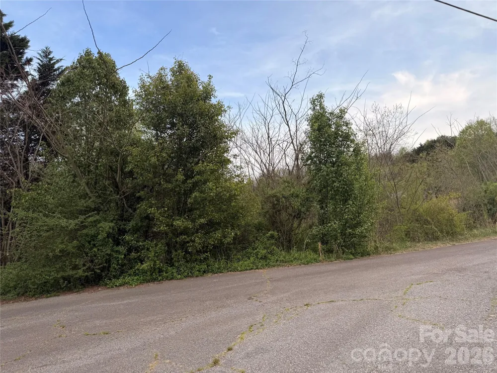 7557 Cowtail Lane Connelly Springs, NC 28612