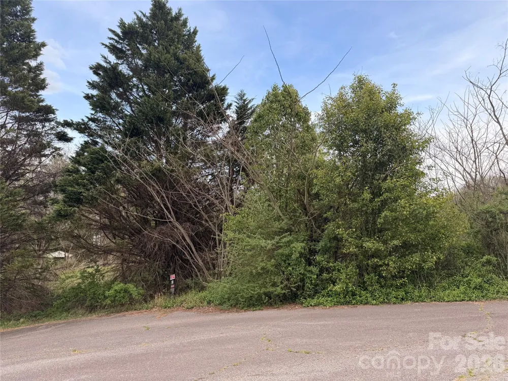 7557 Cowtail Lane Connelly Springs, NC 28612