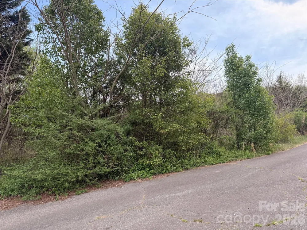 7557 Cowtail Lane Connelly Springs, NC 28612