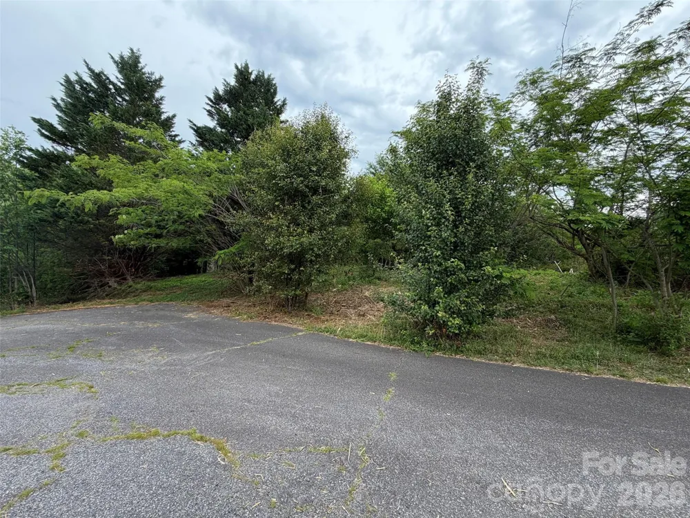 7557 Cowtail Lane Connelly Springs, NC 28612